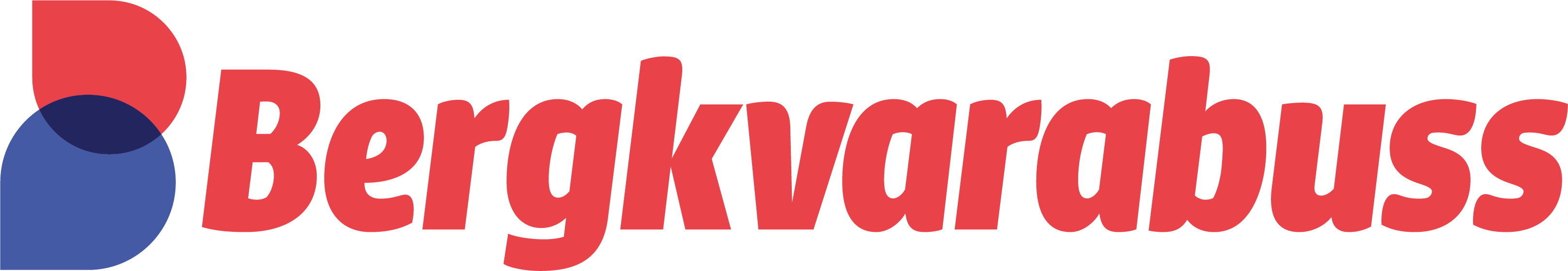 Bergkvarabuss Bergkvarabuss